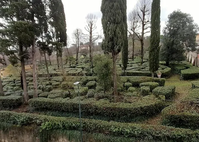 L'albero Di Garibaldi Firenze
